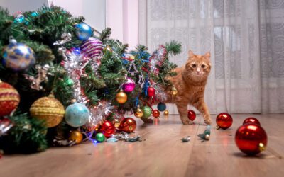 6 Holiday Pet Hazards To Avoid