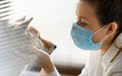 COVID-19’s Influence on the Veterinary Profession