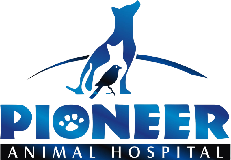 Pioneer Animal Hospital logo