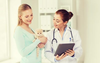 But My Pet is Healthy! Why Every Pet Deserves a Wellness Screening