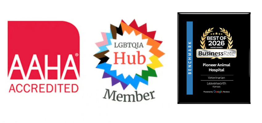 AAHA Accredited logo